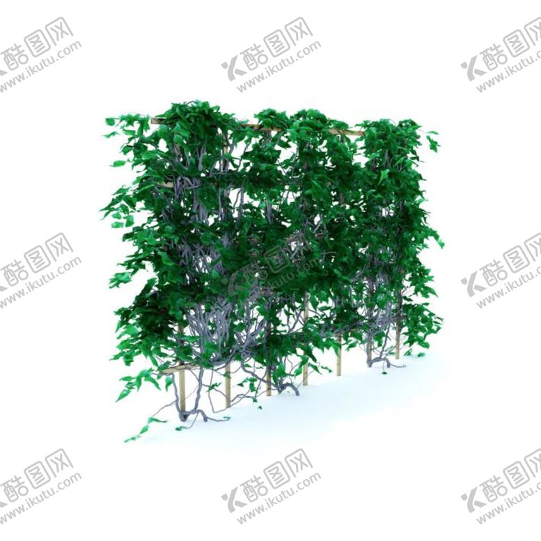 编号：31248301250400483924【酷图网】源文件下载-C4D模型植物