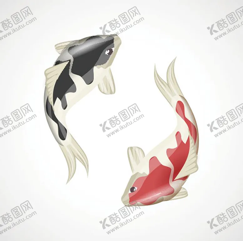 编号：06249310062340492480【酷图网】源文件下载-锦鲤素材