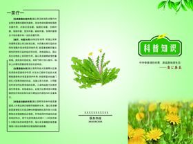蒲公英三折页
