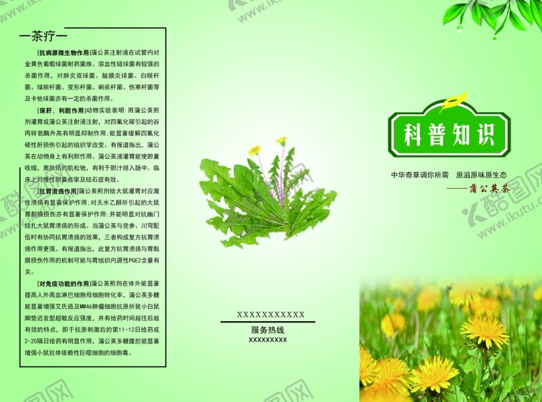 编号：88052506161837576402【酷图网】源文件下载-蒲公英三折页