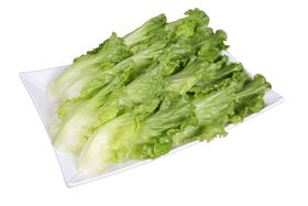 生菜