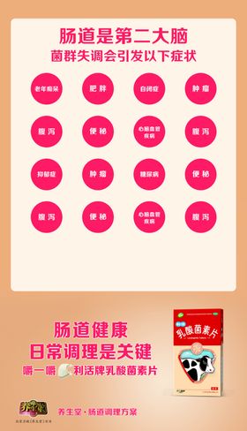 乳酸菌素片