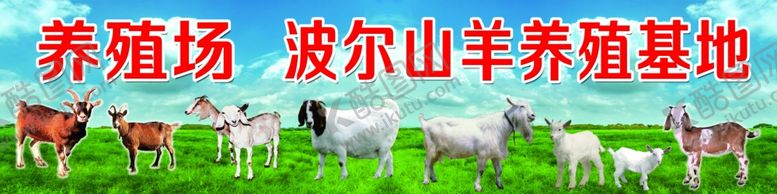 编号：66587501280923047457【酷图网】源文件下载-养羊养殖门头