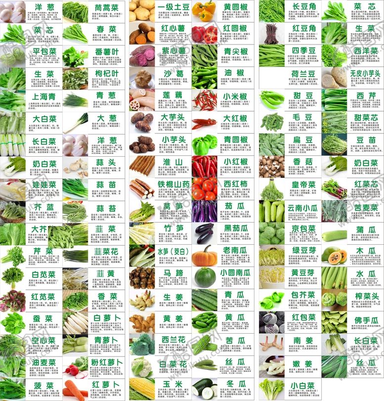 编号：43038802021951238932【酷图网】源文件下载-蔬菜大全设计展板汇总