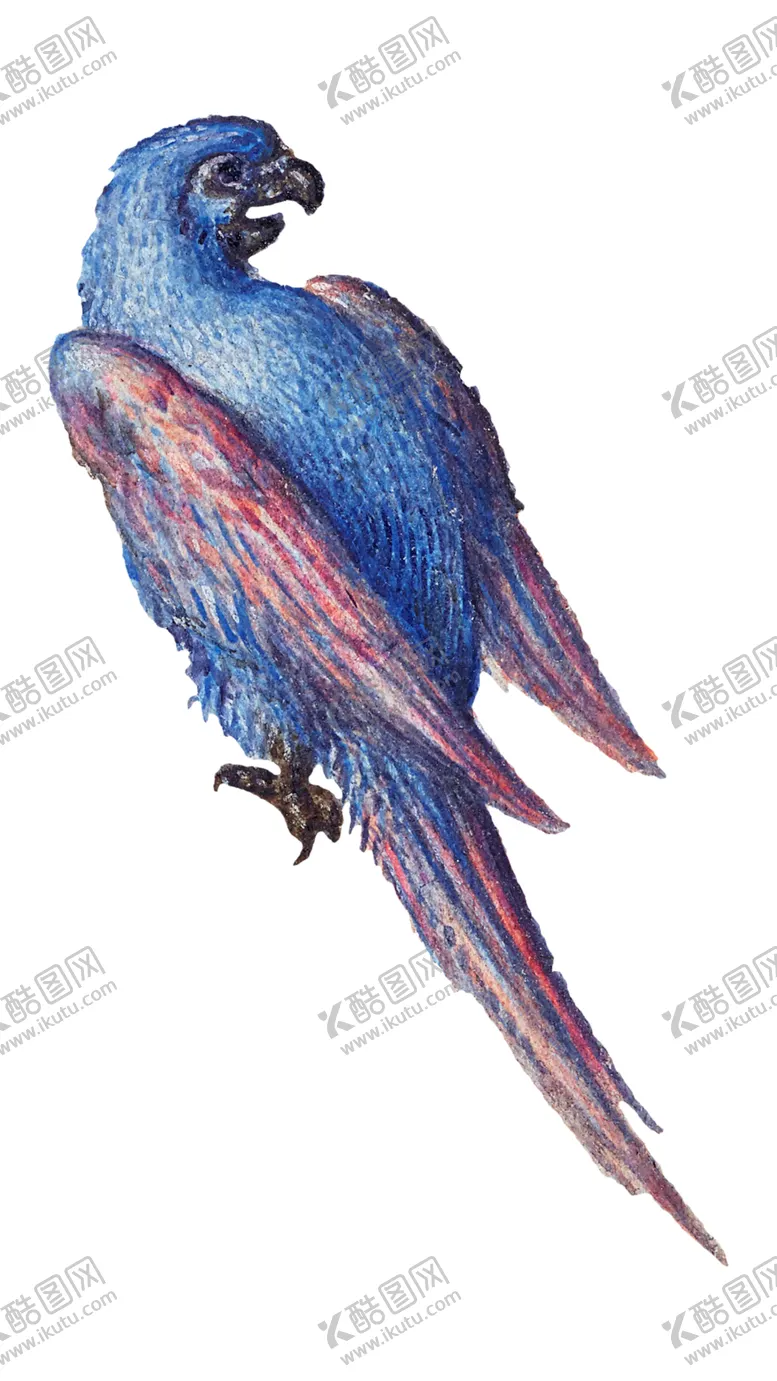 编号：68958702031953482236【酷图网】源文件下载-手绘 鸟 