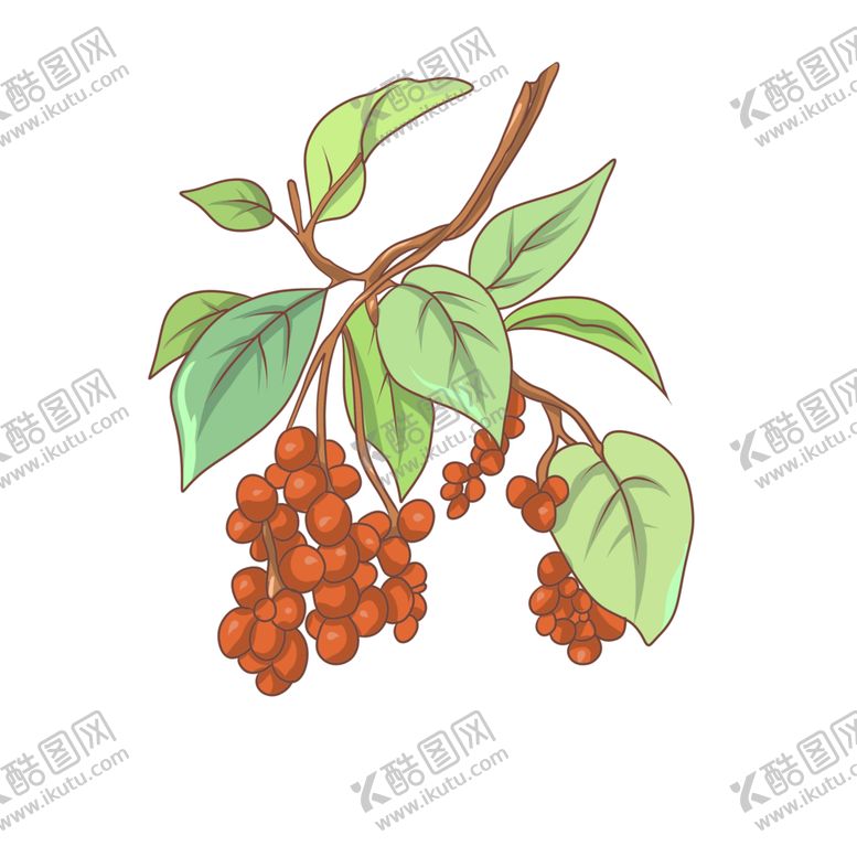 编号：41938409161249004558【酷图网】源文件下载-手绘一支枸杞