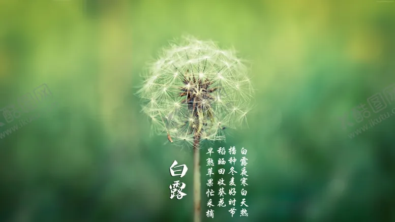 编号：59175206300909035679【酷图网】源文件下载-蒲公英