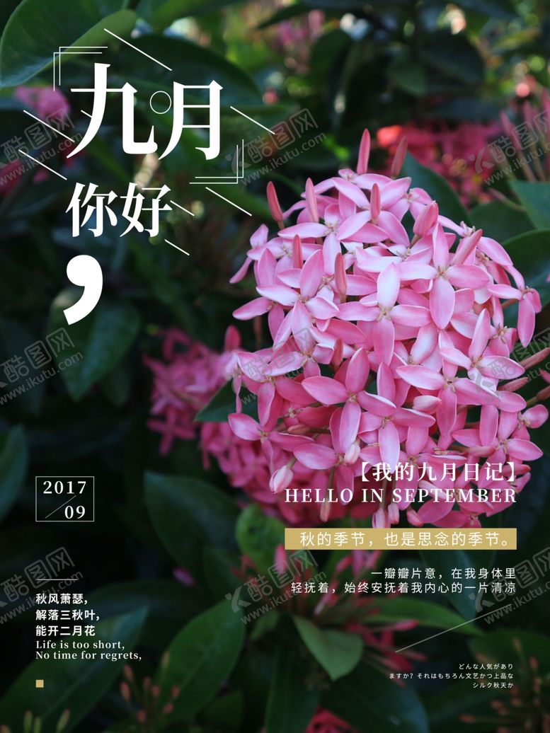 编号：45740206262204484909【酷图网】源文件下载-九月你好