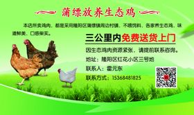 生态鸡名片