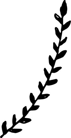 手绘植物枝干