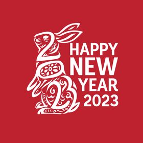 2023新年海报卡通兔子