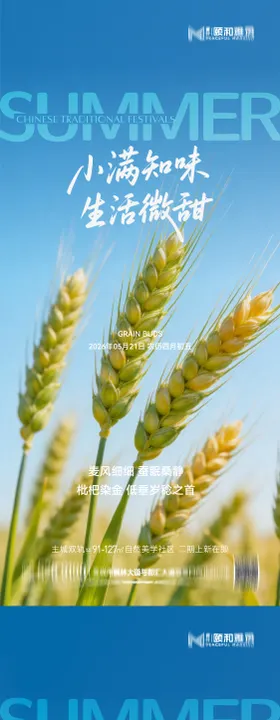 小满麦田二十四节气节日海报2026