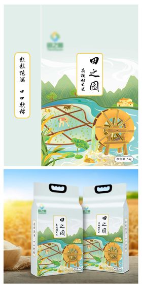 大米国潮插画风格包装