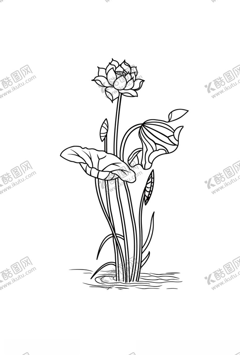 编号：31559410050944089179【酷图网】源文件下载-荷花线稿