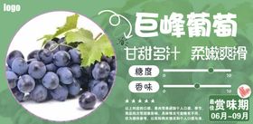 葡萄介绍 水果信息展示