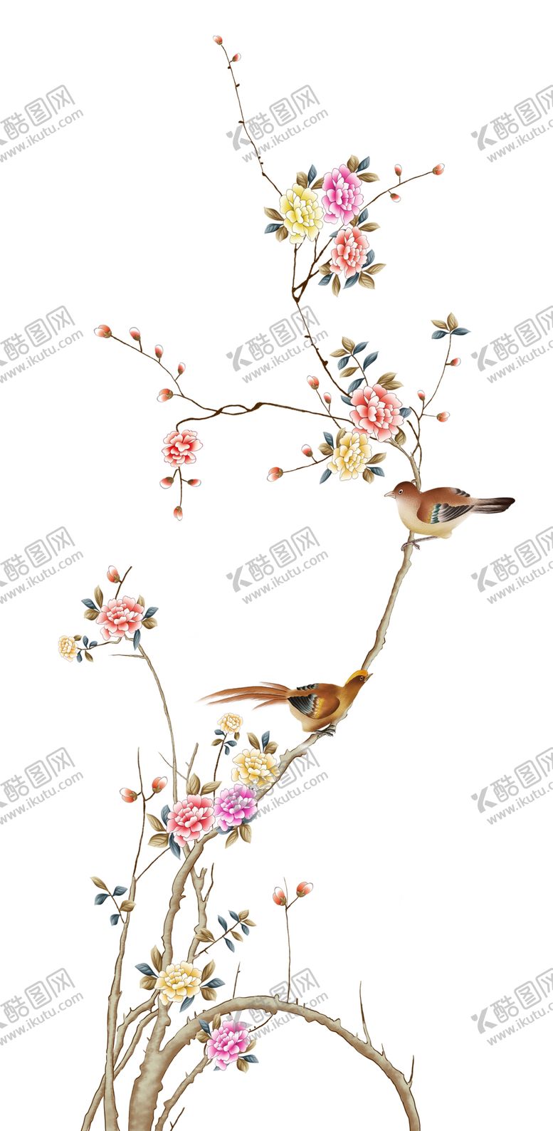 编号：77205610211940275926【酷图网】源文件下载-花鸟