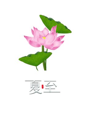 夏至