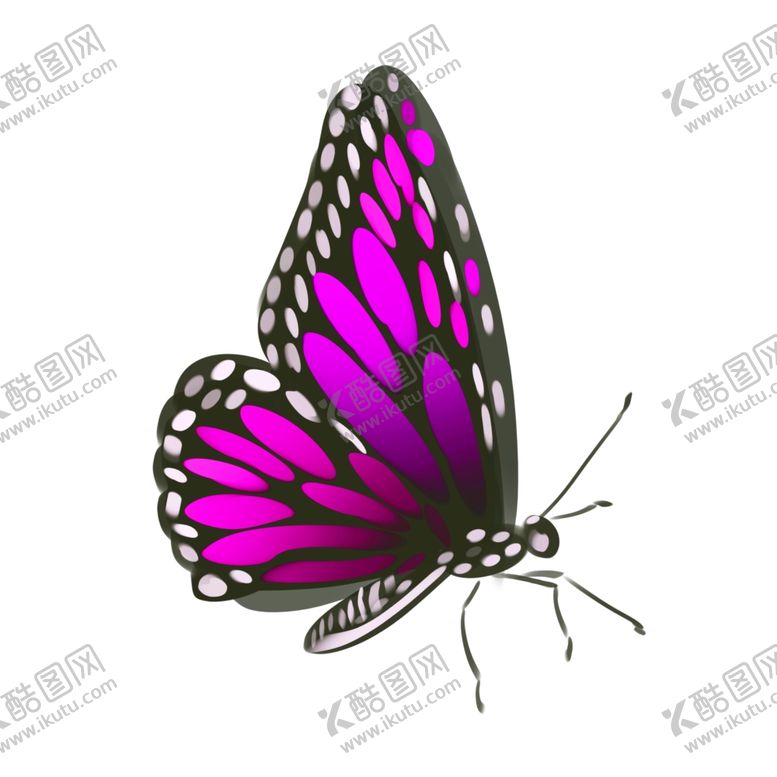 编号：90764510162016268647【酷图网】源文件下载-美丽蝴蝶插画