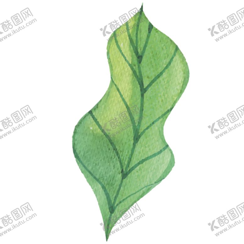 编号：15924207030640032902【酷图网】源文件下载-绿色水彩植物树叶