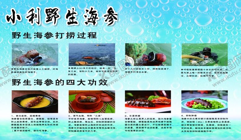 编号：84687702030530341005【酷图网】源文件下载-野生海参展板