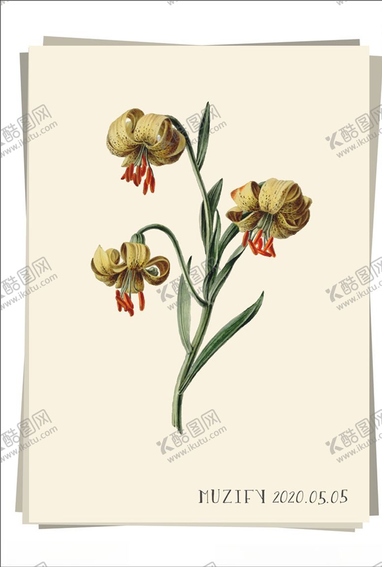 编号：84089506171618265139【酷图网】源文件下载-复古黄色百合植物图鉴
