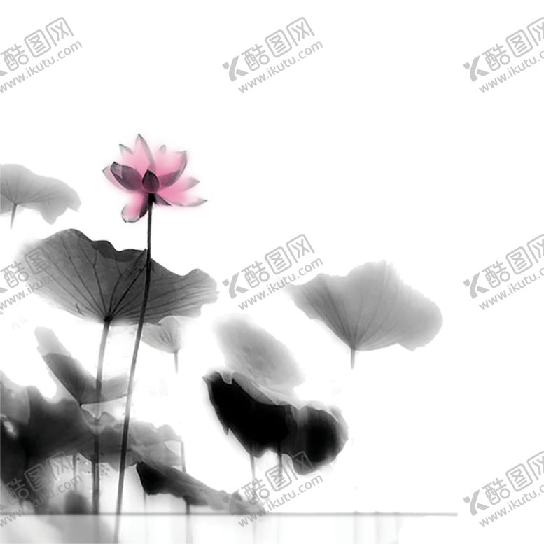 编号：76272310190412129289【酷图网】源文件下载-水墨荷花粉色荷花荷花意境