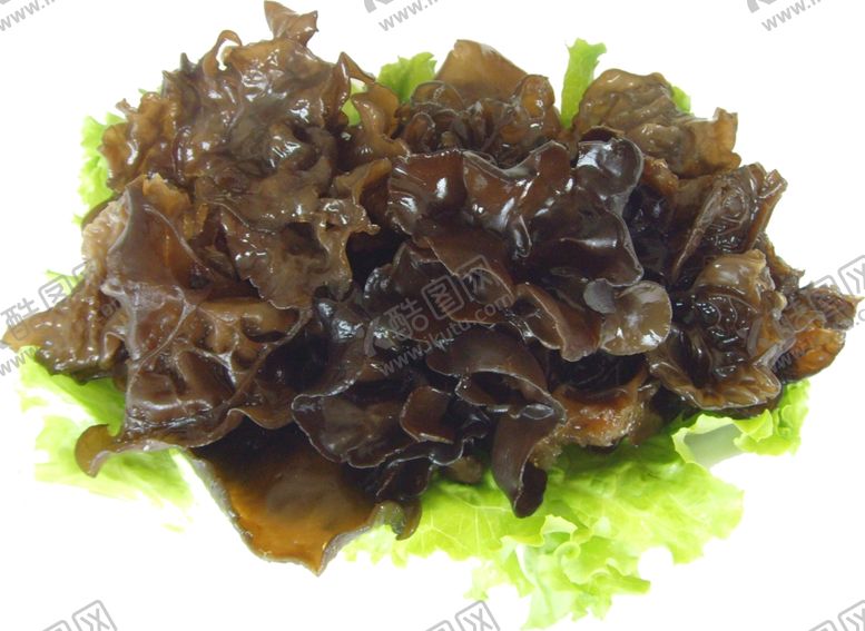 编号：56273807141407385389【酷图网】源文件下载-家常菜美食