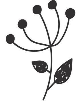 手绘植物叶片