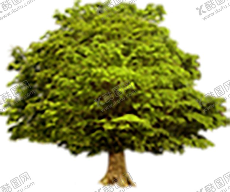 编号：87785607022154389459【酷图网】源文件下载-绿色植物