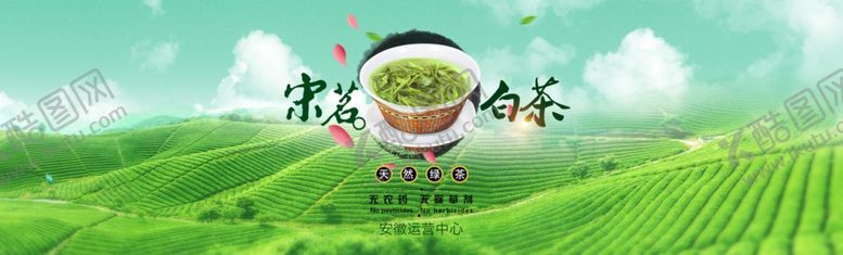 编号：69847507040355437636【酷图网】源文件下载-茶叶白茶网页banner