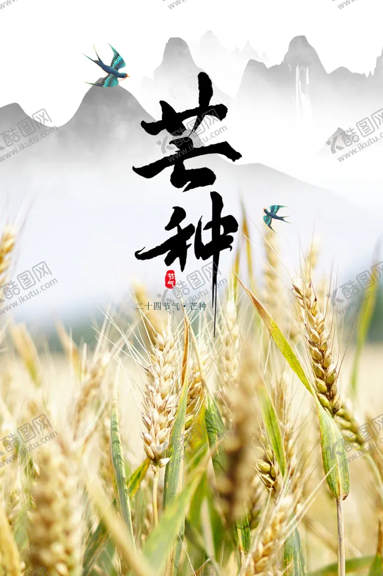 编号：49363701122342047025【酷图网】源文件下载-芒种海报
