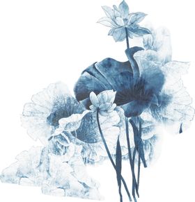 莲花