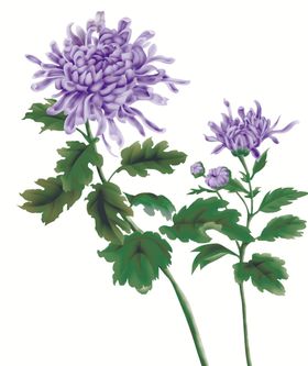 中国古风传统花鸟画