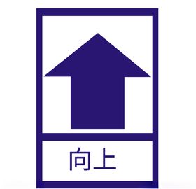 向上