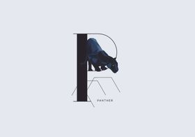 字母p图标