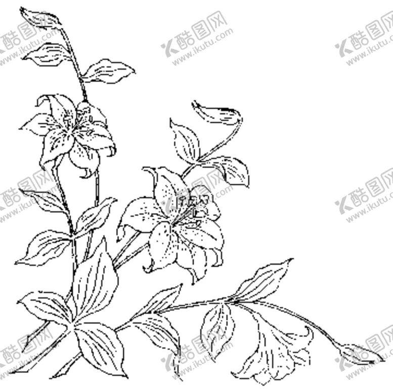 编号：13602203160223175972【酷图网】源文件下载-秘密花园线稿图