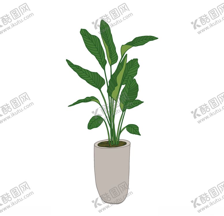 编号：33481707030607514534【酷图网】源文件下载-植物手绘