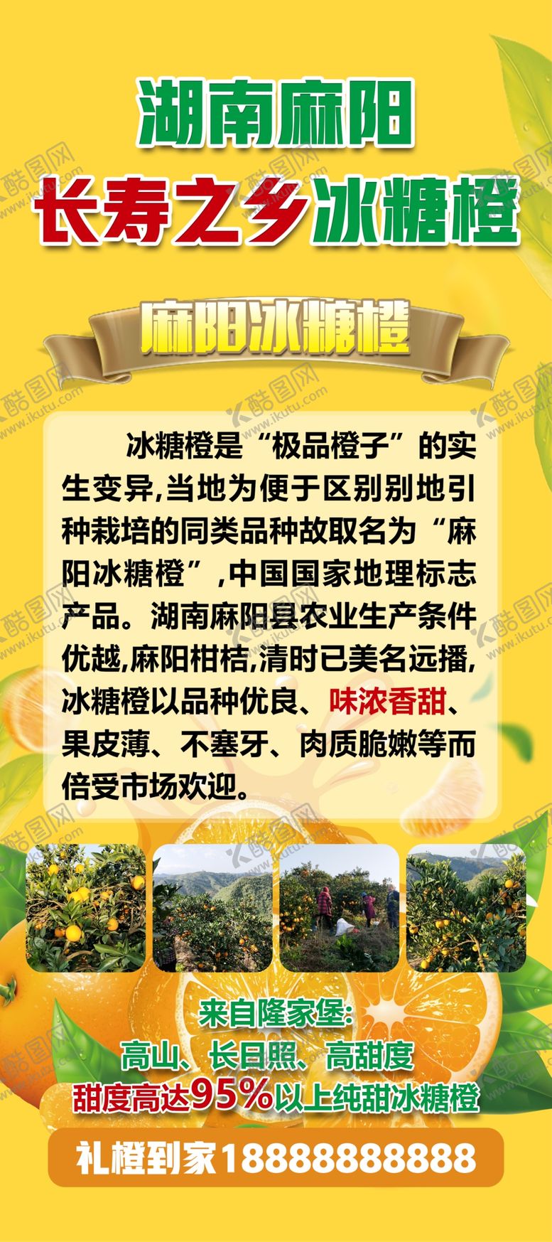 编号：64189410260917001013【酷图网】源文件下载-脐橙展架易拉宝