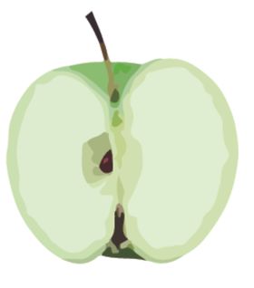 苹果水果蔬菜切片局部矢量图