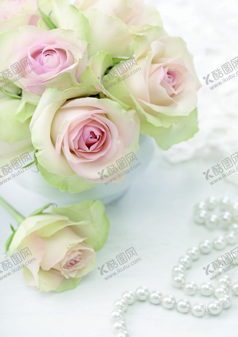 编号：99082410100156087621【酷图网】源文件下载-珍珠白玫瑰