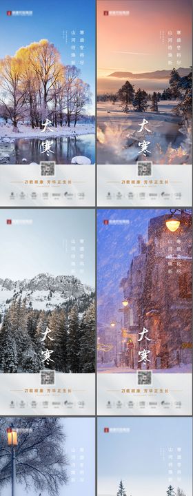 地产大寒24节气海报