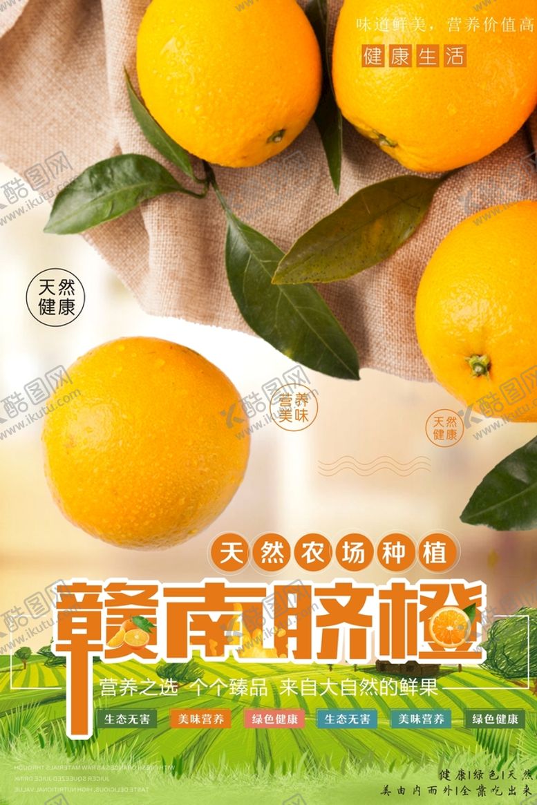 编号：93453401181910322256【酷图网】源文件下载-赣南脐橙