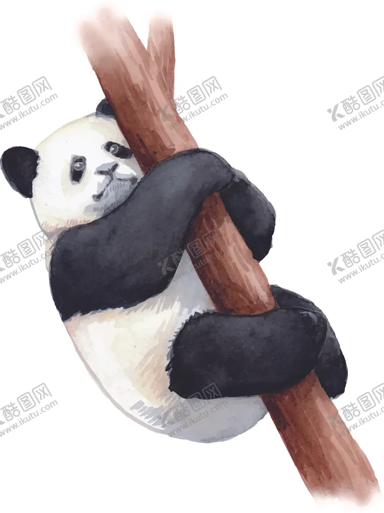 编号：49979501251359452049【酷图网】源文件下载-熊猫