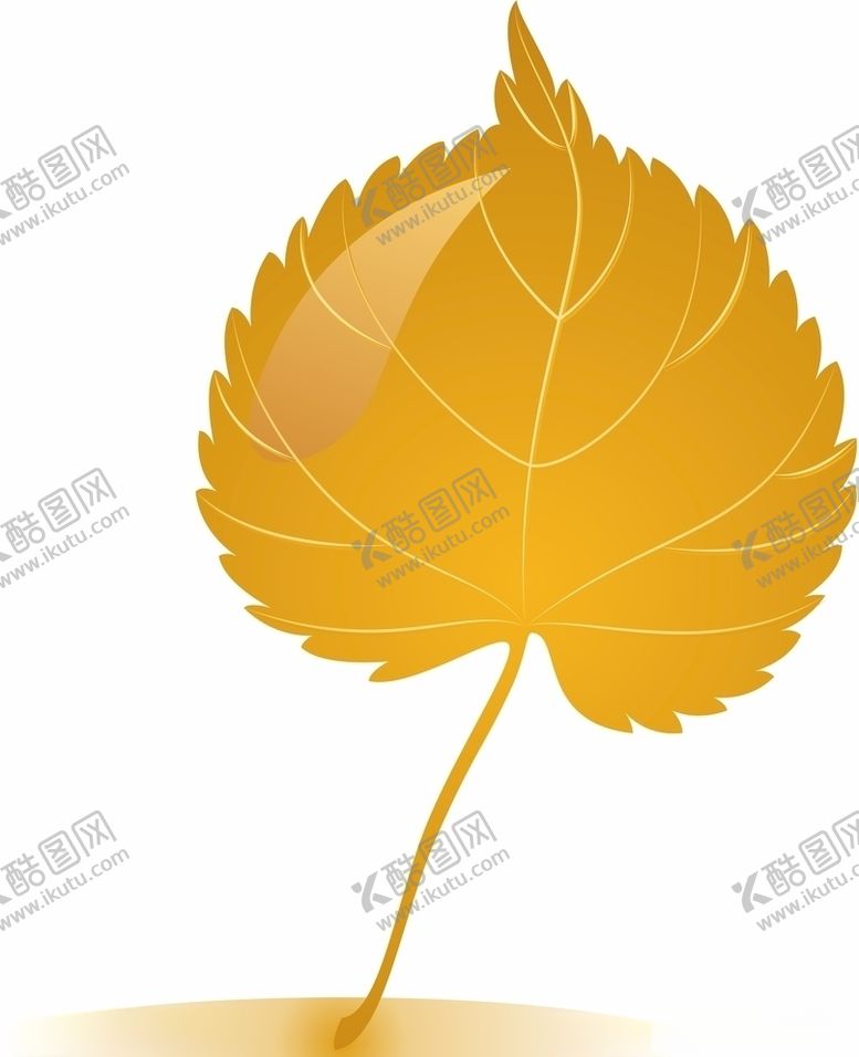 编号：24144207012318551105【酷图网】源文件下载-叶子矢量