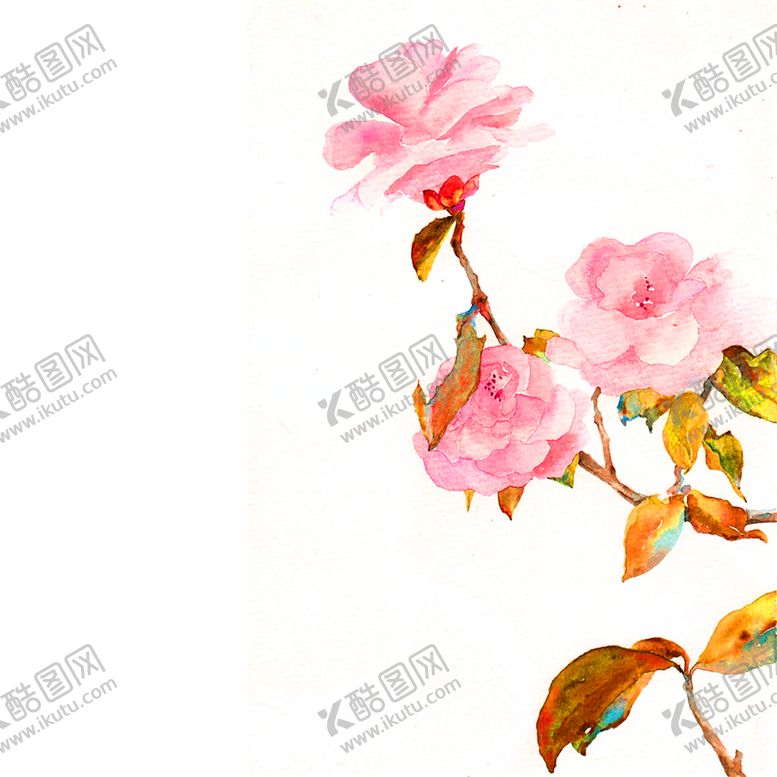 编号：17120409302323334354【酷图网】源文件下载-花素材