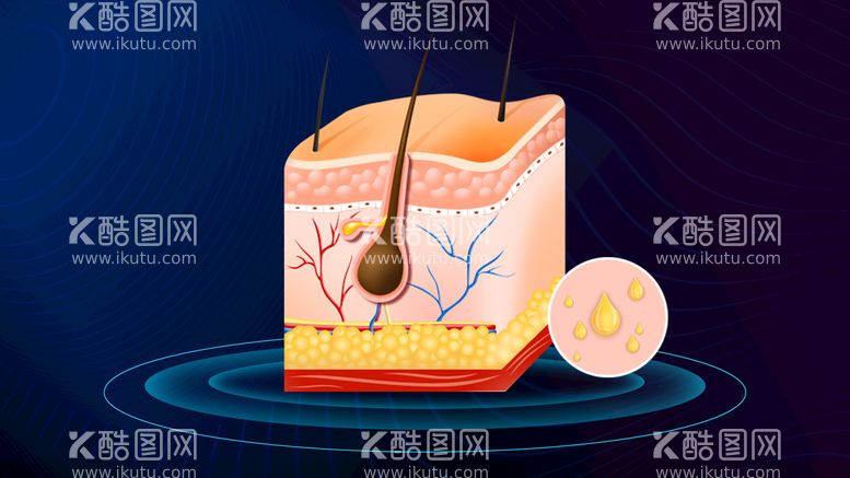 编号：67831509302215304697【酷图网】源文件下载-手绘皮肤