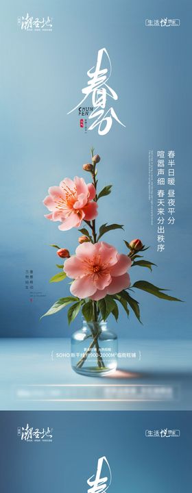 春分节气海报系列