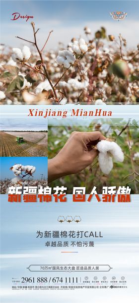 新疆棉花