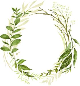 手绘植物叶子