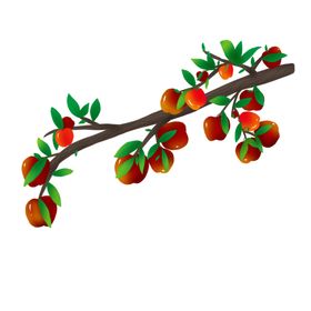 手绘苹果苹果插画
